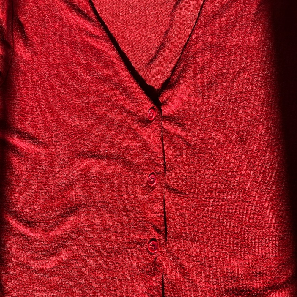 Aritzia red sweater